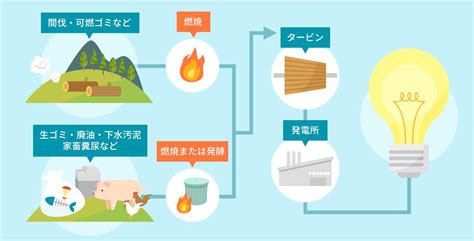 バイオマス発電とは？仕組みやメリットを簡単に解説 With You