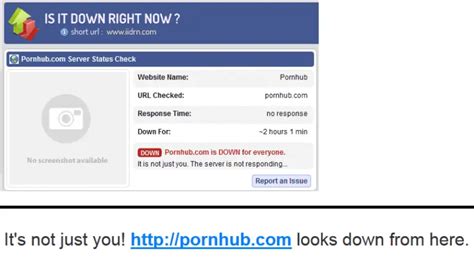 PoodleCorp Hackers Knock Worlds Largest Porn Sites Offline Pornhub Brazzers