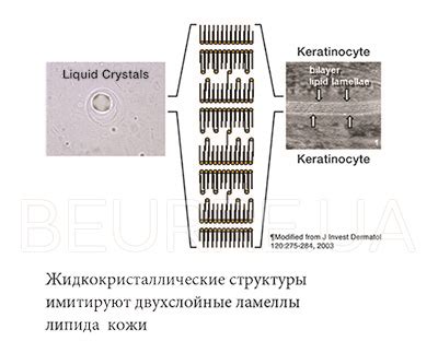 Эмульгатор OLIVEM - купить в BEURRE l Украина