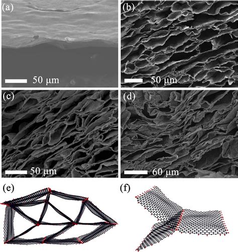 A Cross Sectional SEM Images Of GO Film B Cross Sectional SEM Images