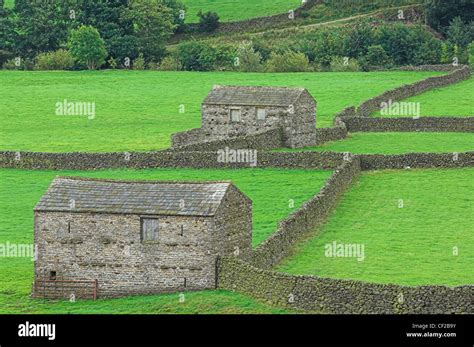 Stone Barns And Dry Stone Walls In The Yorkshire Dales Stock Photo