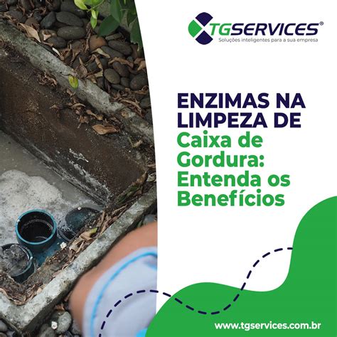 Enzimas Na Limpeza De Caixa De Gordura Entenda Os Benef Cios Tg Services