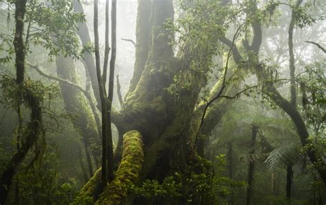 Winners Of The International Landscape Photographer Of The Year