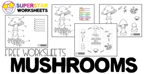 Life Cycle Of A Mushroom Worksheet