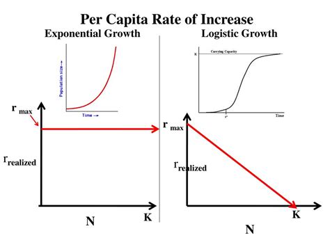 Ppt Population Growth Models Geometric And Exponential Growth Powerpoint Presentation Id