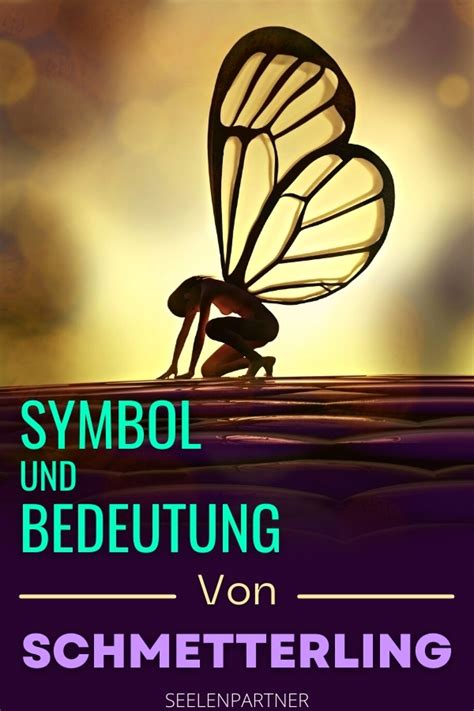 Symbol Und Bedeutung Von Schmetterling Seelenpartner