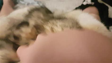 Coyote Fur Gay Porn XHamster