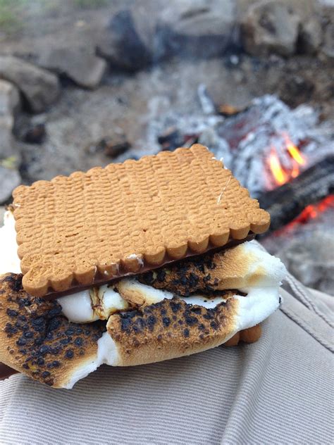 Smores Marshmallow Camping - Free photo on Pixabay - Pixabay