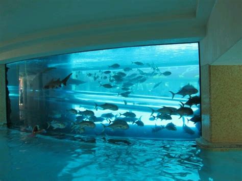 The Tank At The Golden Nugget Las Vegas You Can Actually Slide Down A