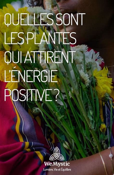 Quelles sont les plantes qui attirent lénergie positive WeMystic