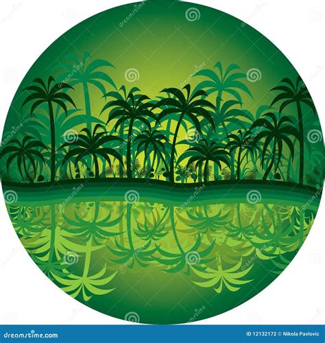 Jungle Circle Stock Photography Image 12132172