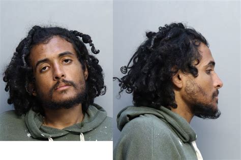 Gonzalez Leandro Felix Miami Dade County Mugshots Zone