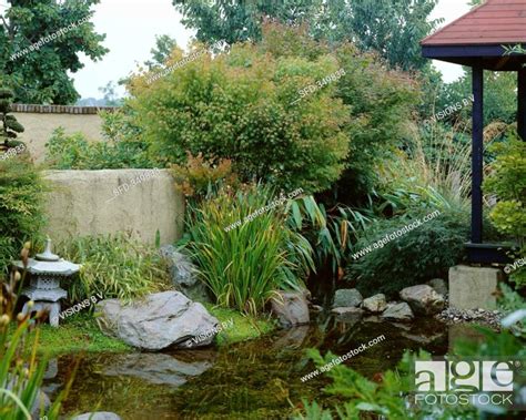 Japanese garden with small pond, Stock Photo, Picture And Rights ...