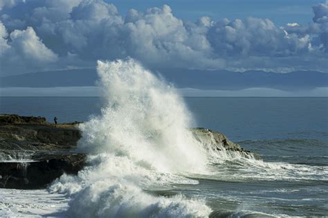 Shocking Video Shows 'Massive Sea Creatures' Breach Off California ...