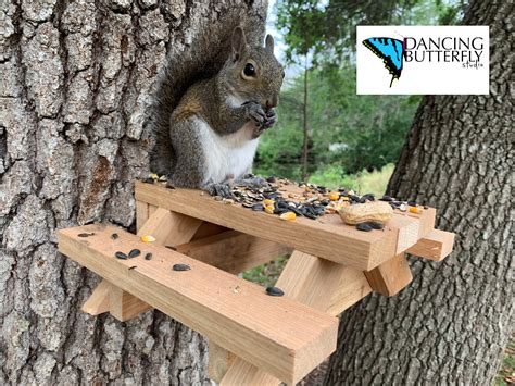 Squirrel Picnic Table Feeder Ploraph