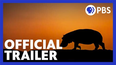 Hippo King Official Trailer Nature Pbs Youtube