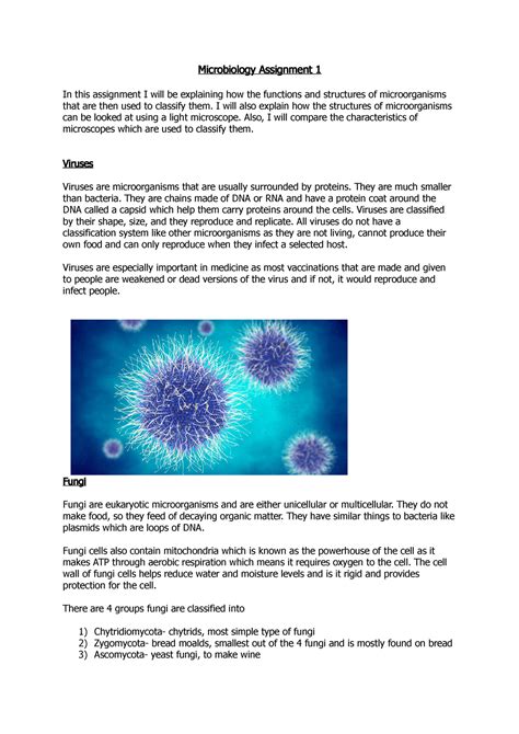 Microbiology Assignment Mock Activity Microbiology Assignment In