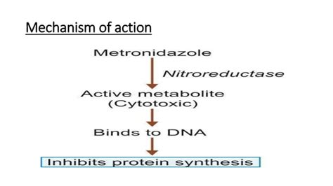 Drugs Used In Protozoal Infectionpptx