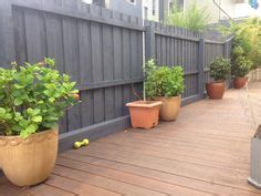 Painted fence with colourbond ironstone paint colour. I used a spray gun which gave a very even ...