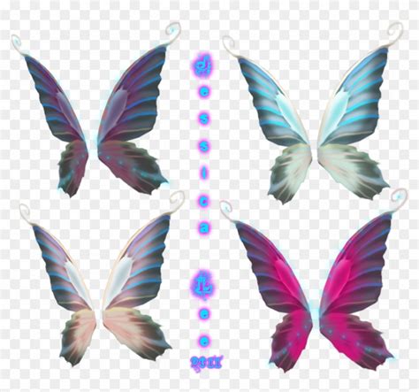 Butterfly Wings Vector At Vectorified Collection Of Butterfly