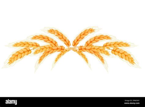 Wreath Border From Spikelets Golden Color Wheat Horizontal Frame In