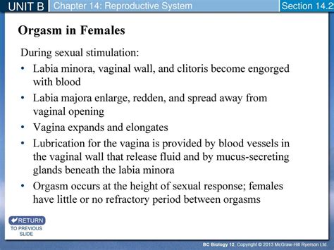 Female Reproductive System Ppt Download