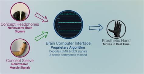 Brain-computer interface startups augmenting human body ...