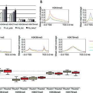Regulatory effects of different histone modifications on gene ... 