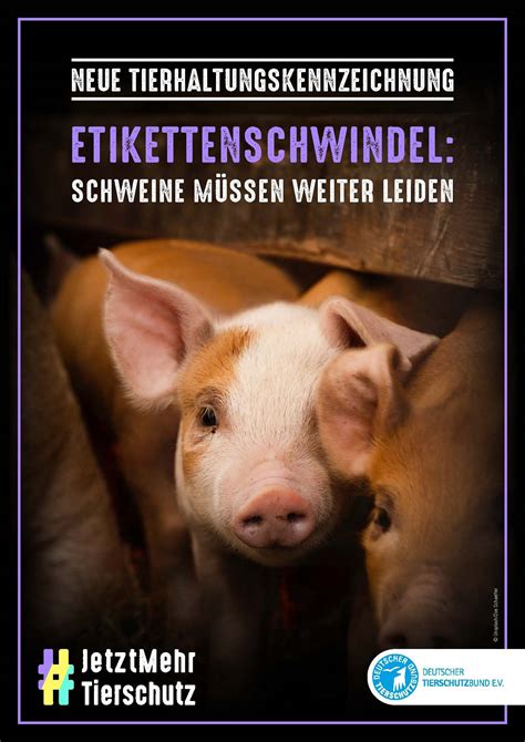 Tierhaltungskennzeichnungsgesetz Nacharbeiten Aufkl Ren Fehler