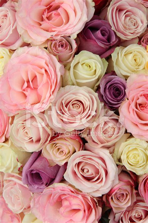 Bridal Flowers IN Pastel Shades stock photos - FreeImages.com