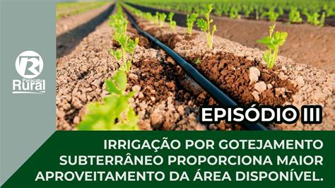 IRRIGAÇÃO por GOTEJAMENTO SUBTERRÂNEO para maior aproveitamento da área