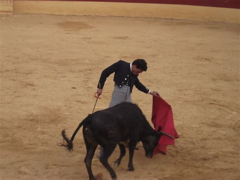 Tertulia Taurina El Porvenir Tentadero En Cortijo De Arenales