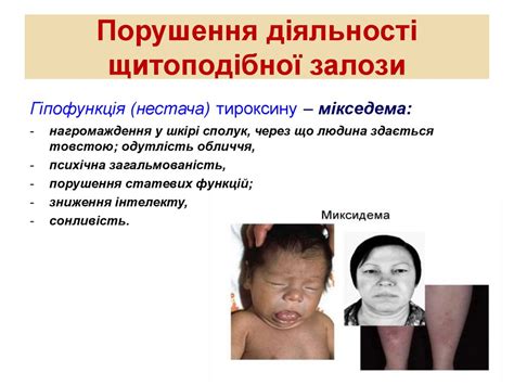 Гуморальна регуляція. Ендокринна система людини - презентация онлайн