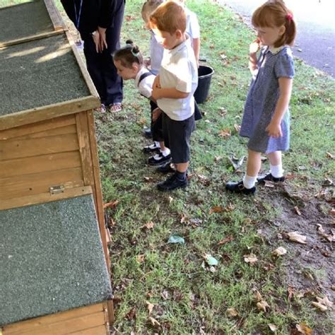 Friday Bridge Primary September 2023