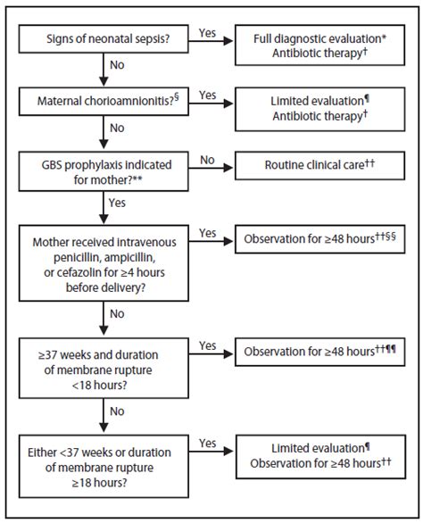 Prevention Of Perinatal Group B Streptococcal Disease