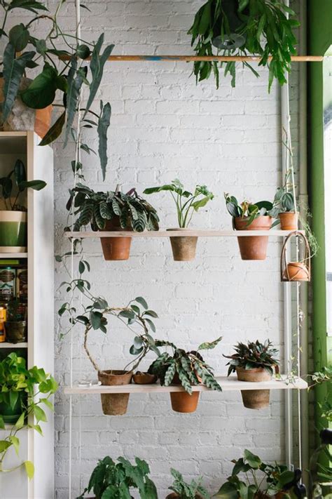 20 Aesthetic Plant Ideas That Room Make Instagramable HomeMydesign