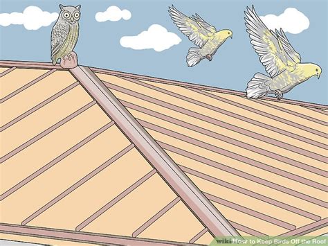 Ways To Keep Birds Off The Roof Wikihow