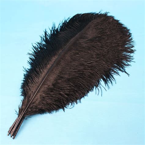 10 PCS Natural Black Ostrich Feather 45 50 Cm 18 To 20 Inches Ostrich