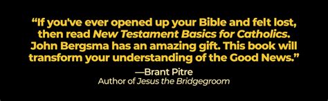 New Testament Basics For Catholics John Bergsma 9781594715822 Books