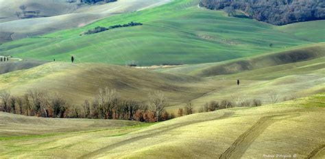 Pienza Map - Val d'Orcia, Italy - Mapcarta