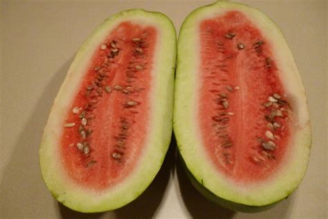 Schochler Watermelon And Israeli Cantaloupe In The Vegetables And Fruit