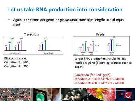 Ppt Biases In Rna Seq Data October 30 2013 Nbic Advanced Rna Seq Course Powerpoint