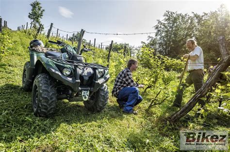 Yamaha Grizzly 450 IRS Poster