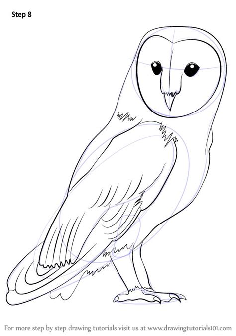 Step By Step How To Draw A Barn Owl Drawingtutorials Owls