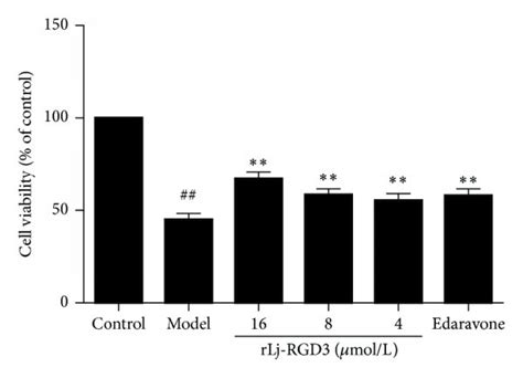 The Effect Of Rlj Rgd On Pc Cell Viability After Ogd R Induced