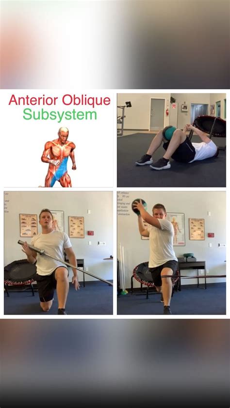 Anterior Oblique Sling An Immersive Guide By Schaefit