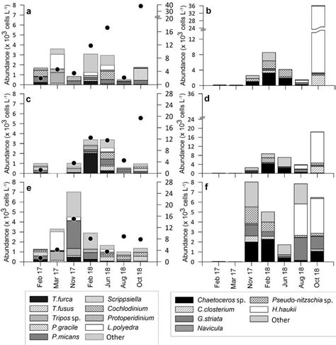 Cell Abundance Cells L Of The Major Genera Or Species Of