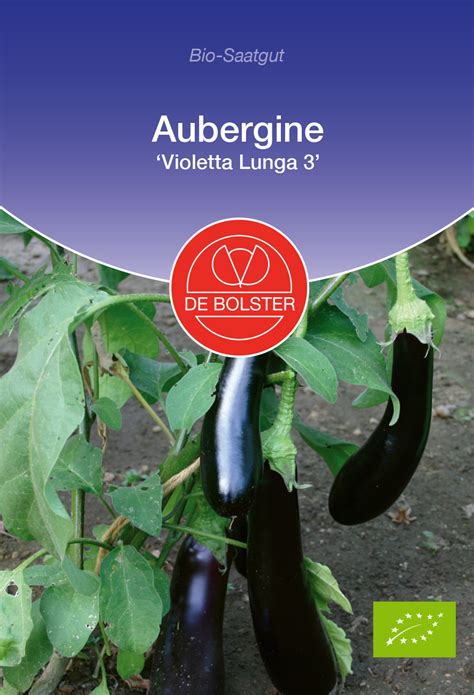 Aubergine Violetta Lunga 3 BIO Auberginensamen Von De Bolster MHD 12