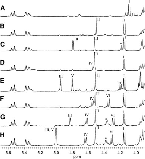 Anomeric Proton Regions Of The H Nmr Spectra Of The Isolated Gsls A