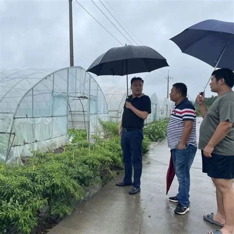 台风“梅花”来势汹汹 重固镇各方“汛”速响应强台风“梅花”来袭强台风“梅花”携风带雨而来直击台风“梅花”正面来袭